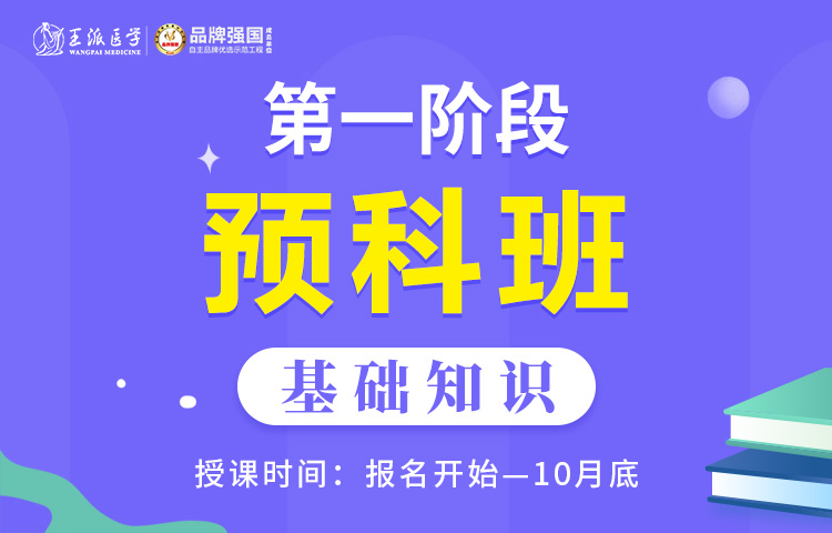 2022临床内科主治 高端班基础知识 第一阶段预科班 王派医学官方网站 医考选王派 拿证就是快 北大清华协和北中医博士硕士团 精准提分 用心陪伴 王派 医学